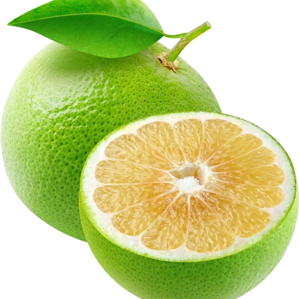 White Marsh Seedless